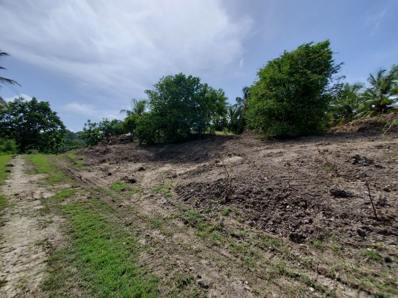 Land For Sale in Newcastle Barbados